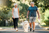 Best supplements for old age