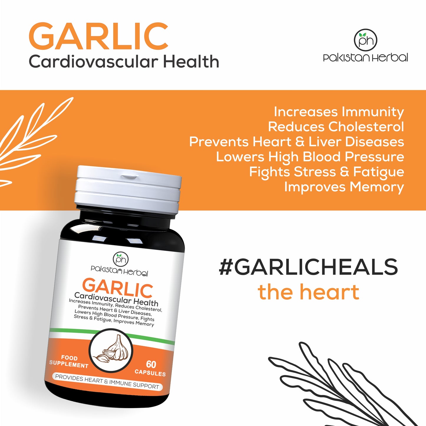 Garlic Extract 60 Capsules