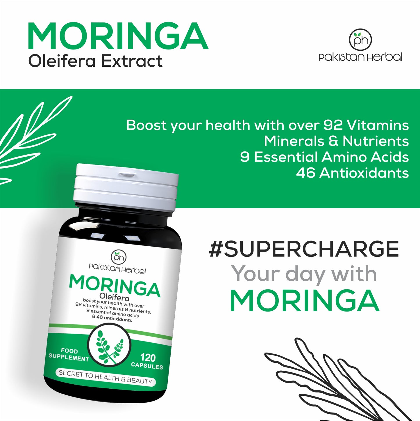 Moringa Oleifera Extract 120 Capsules